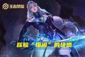 王者荣耀练会能上瘾的四个英雄，露娜上榜，这个射手极具争议图片