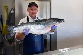 到底哪种鱼才是真的“三文鱼”？其实三文鱼一共有7种图片