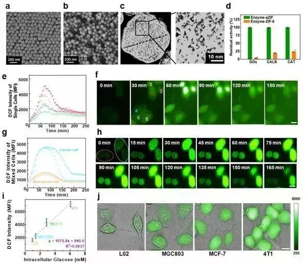 2019年MOFs材料最新进展大盘点