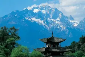 生命是一场旅行图片