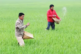 养殖亏损，种地赔钱，在农村能干啥？4种“小买卖”都比打工强图片