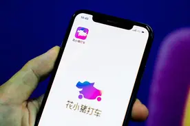 站在滴滴肩上的花小猪图片