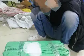 小小核桃里竟藏着惊天秘密图片