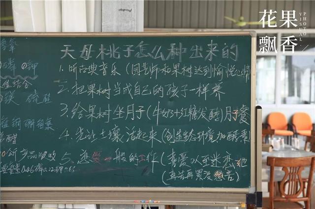 谈恋爱、听音乐、坐月子……这家果园的管理方式太奇葩