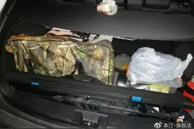 本汀鱼饵黑坑偷驴实战篇图片