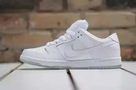 NIKE  DUNK 从过去走来，走向未来 ——dunk的故事（下）图片