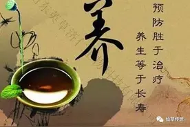 巧用灵芝“治未病”，病痛不缠身图片
