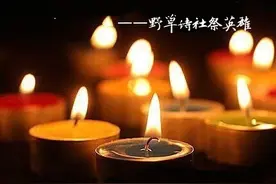 庚子清明野草诗社悼念抗疫英烈并逝世同胞图片