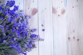 研究发现，让男人爱到上瘾的女人，说情话很有一套图片