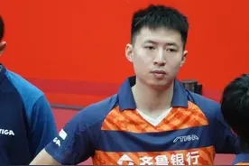 国乒痛失2位老将！29岁世界冠军退出国家队，马龙队友也快离开了图片