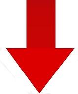 舌尖上的安全（8）——解读牛奶中的β-内酰胺酶