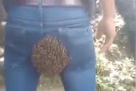 奇观！小伙臀部惨遭蜜蜂群筑巢赶都赶不走，同伴笑岔气视频封面
