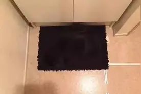 养一只黑色的小猫咪是什么体验？网友：时刻都在玩捉迷藏图片