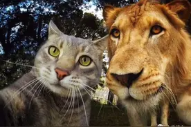 五年之后，南阳哪个完全学校最牛X？图片