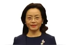 【代表风采】蒋丽英:加快制定《学前教育法》图片