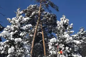 长白山景区恢复营业，是东三省第一家开放的5A景区图片
