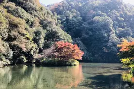 杭州仙境般的九溪烟树如何游玩？体会天然氧吧，拍摄江山如画图片