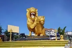 在柬埔寨为了回国，中国男子连续被卖三个公司图片