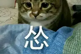 浙江湖州：价值100万的新房被贴了封条，他立刻履行了！图片