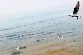 甲友心声——夫妻本是同林鸟，甲癌临头各自飞？图片