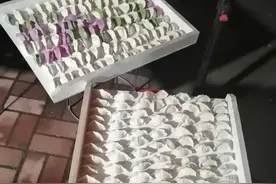 山东的婚礼图片