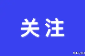 省级荣誉！恭喜新郑这些组织、个人......图片