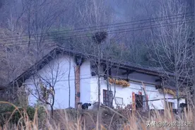 住进秦岭深处的山民家，瓦顶老房，靠烧柴取暖，却舒适到出人意料图片