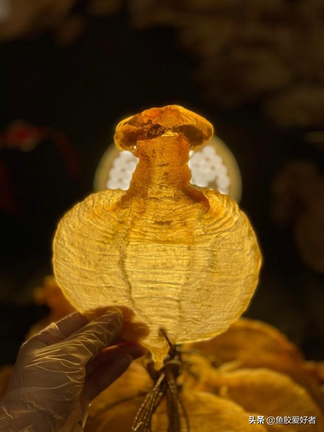 鱼胶如何食用方法 2025年鱼胶如何食用方法最好