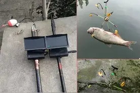 一种新奇的搞鱼手法，只因用了这个“钩”成了过街老鼠图片
