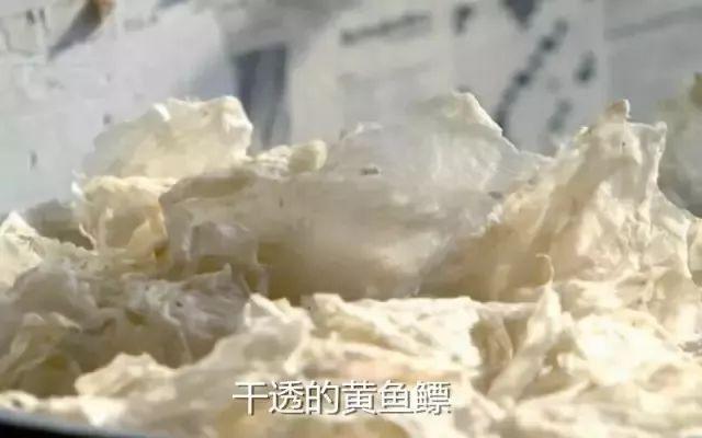 鱼鳔胶的功效和作用 2026年鱼鳔胶的功效和作用及禁忌