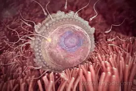 「惊」怀孕1一40周真人过程图图片