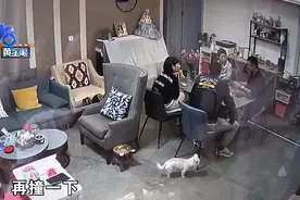 搬家摔坏钢琴要客户配合骗保？蚂蚁搬家：只是建议图片