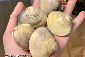 5款“看着想嫌弃，用着想称赞”的老国货！很丑却很好用，太可惜图片