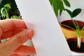 环保好物分享 | 洗衣只用一张纸图片