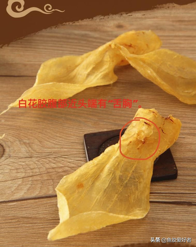 白花胶是什么鱼的鱼胶 2026年白花胶的特征