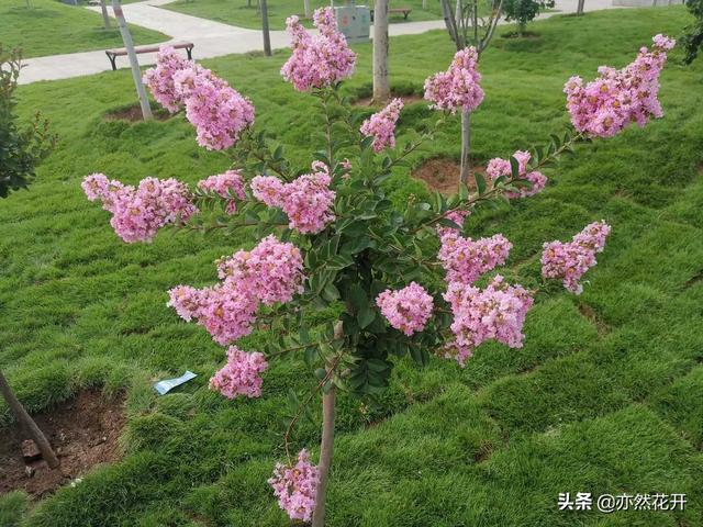 曾国藩:堂堂正正做人,做一个光明磊落的人