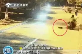 女子报警有人称交通肇事逃逸？民警：“元凶”是窜出来的野猫图片