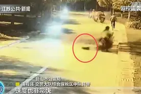 女子报警有人称交通肇事逃逸？民警：“元凶”是窜出来的野猫图片