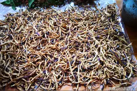 入秋，这菜1元1斤没人要，晒干后价格贵10倍，开胃好吃放1年不坏图片