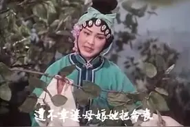 豫剧电影《洛阳桥》图片