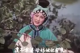 豫剧电影《洛阳桥》图片