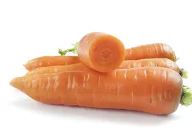 未来的世界图片