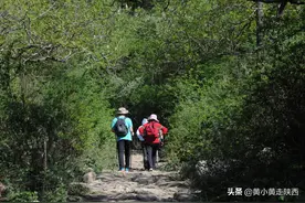 秦岭里又一个小众免费秘境！风光不输牛背梁，距西安仅2小时图片