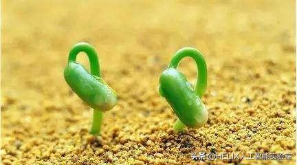 对称矩阵对角化的几何意义