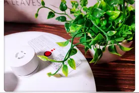 智能与米家电压力锅邂逅的故事图片