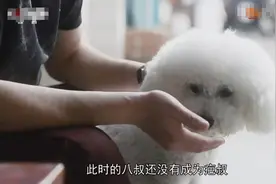 二刷《装台》, 原来小黑，毛蛋这“演技”也是杠杠的图片