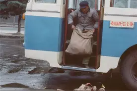 1979年中国，你认为当时金帅苹果这个价格贵不贵？图片