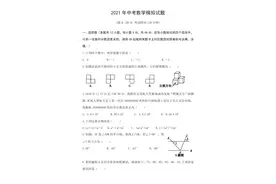 2021年中考数学模拟试题全卷及详细解答图片