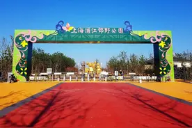 上海八大郊野公园大盘点，国庆长假可以去逛逛（上）图片
