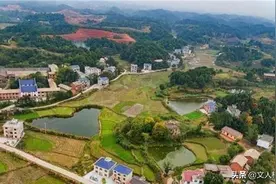 红军总供给部政委，遵义会议公开反对主席被撤职，后知错能改复职图片